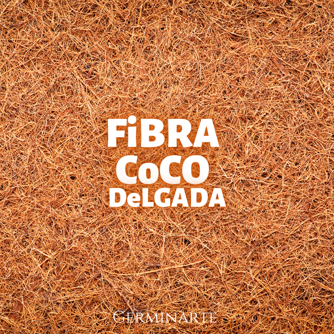 FIBRA DE COCO 5 L - Massó Garden