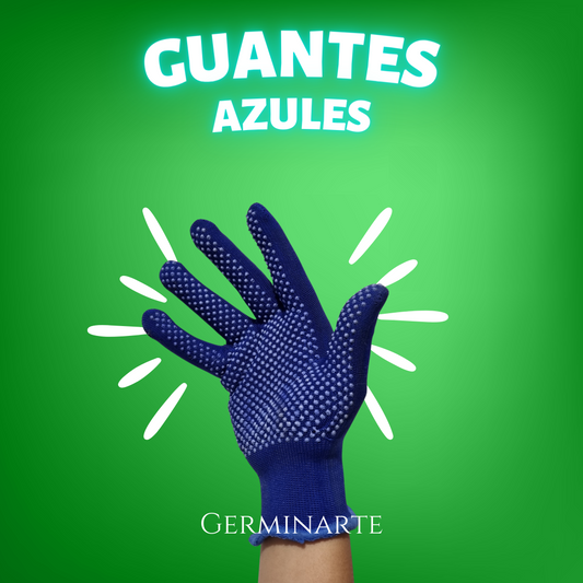 Guantes Azules