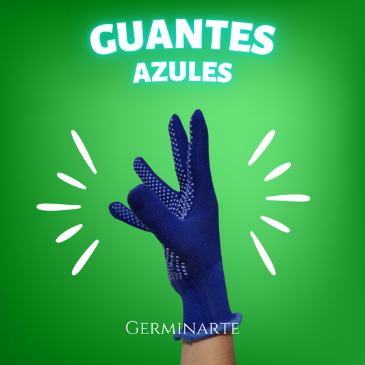 Guantes Azules