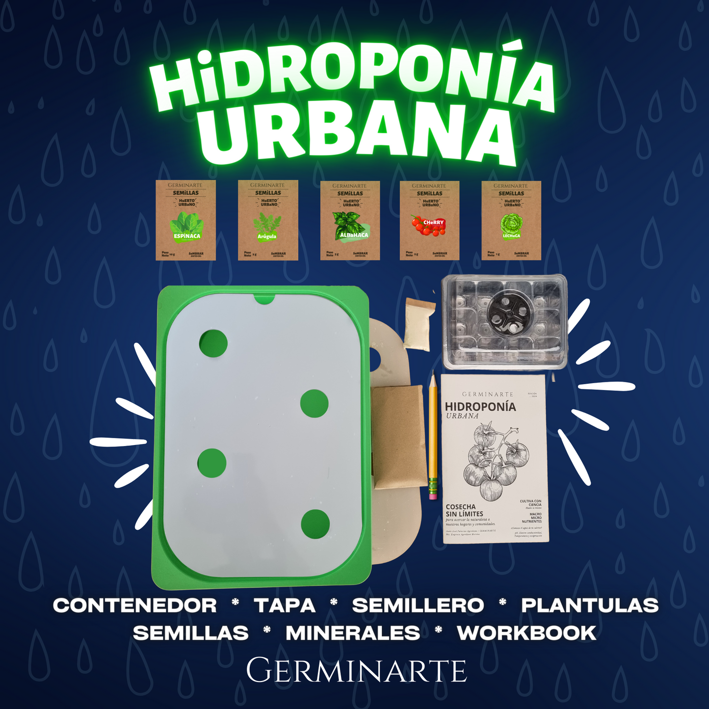 Taller Hidroponía Urbana