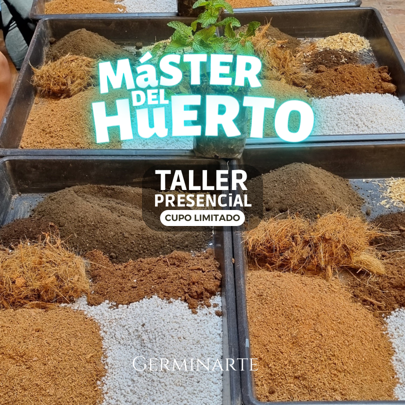 Taller Máster del Huerto