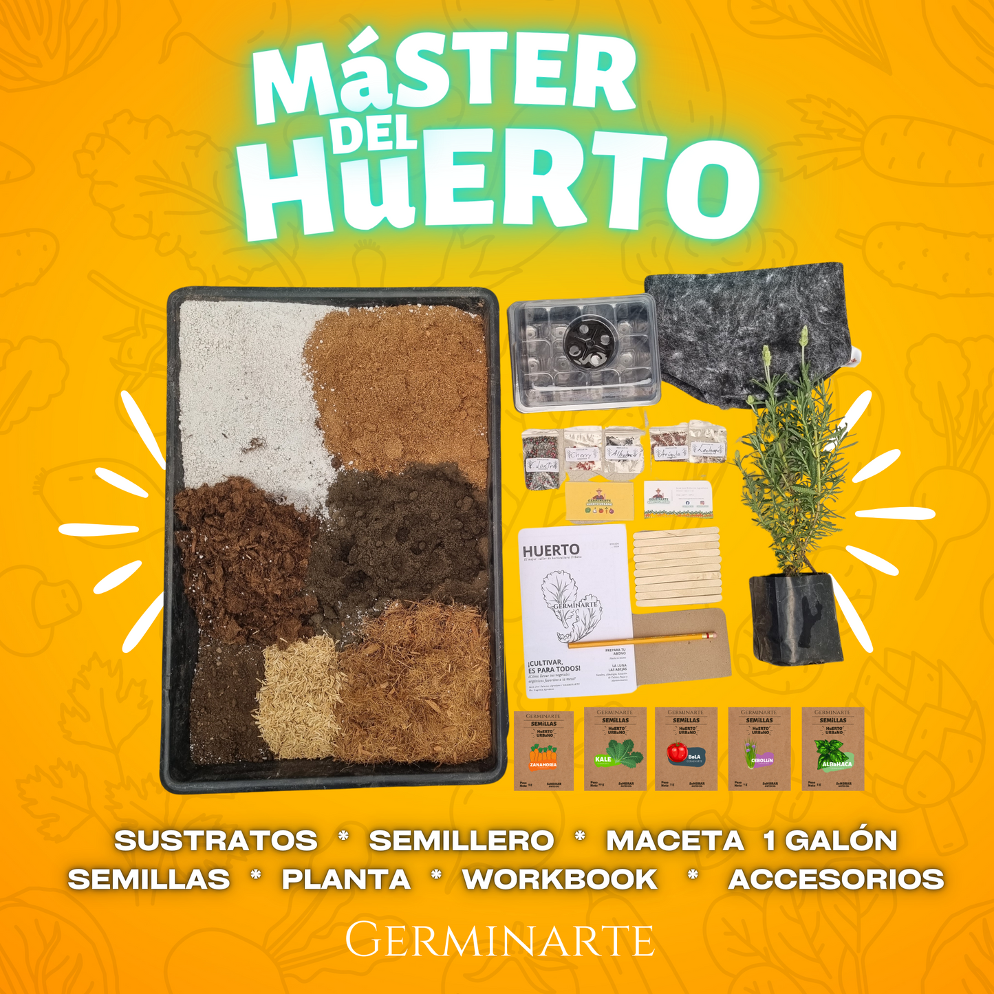 Taller Máster del Huerto