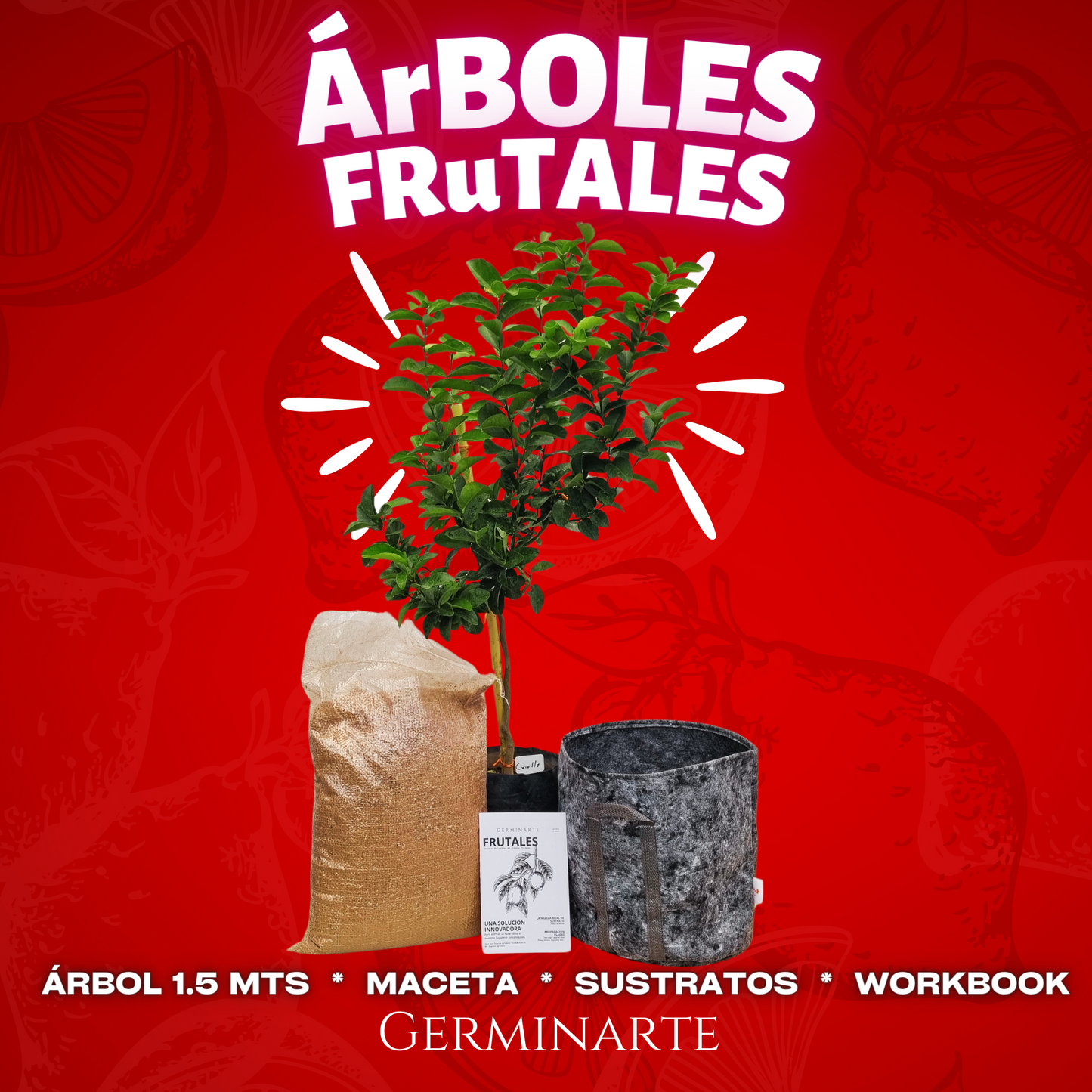 Taller Árboles Frutales