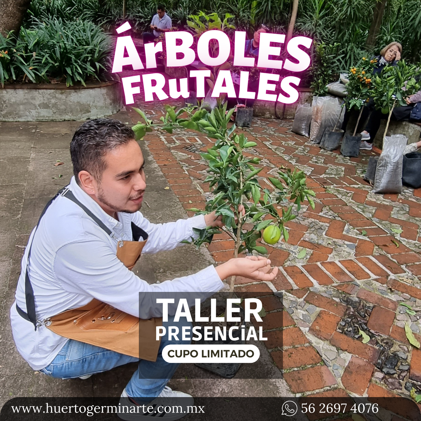 Taller Árboles Frutales