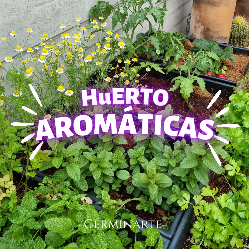 Kit de Cultivo "Aromáticas"