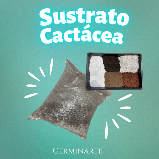 Sustrato para Cactáceas