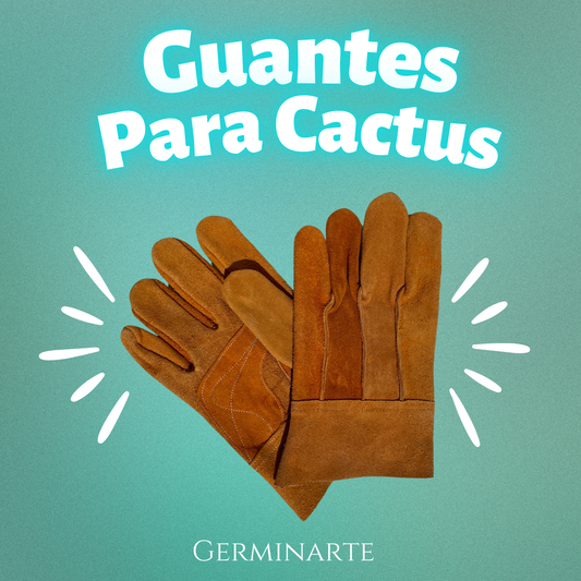 Guantes para Cactus