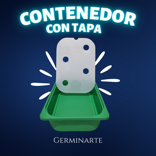 Contenedor con Tapa