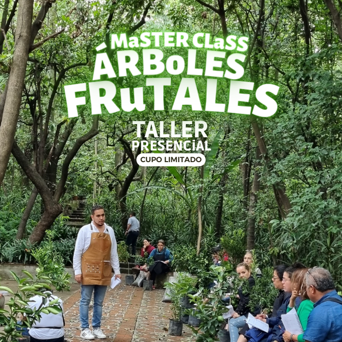 Taller Árboles Frutales