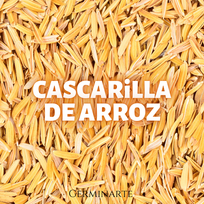 Cascarilla de Arroz