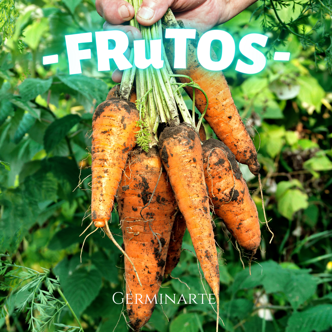 Kit de Cultivo "Frutos"