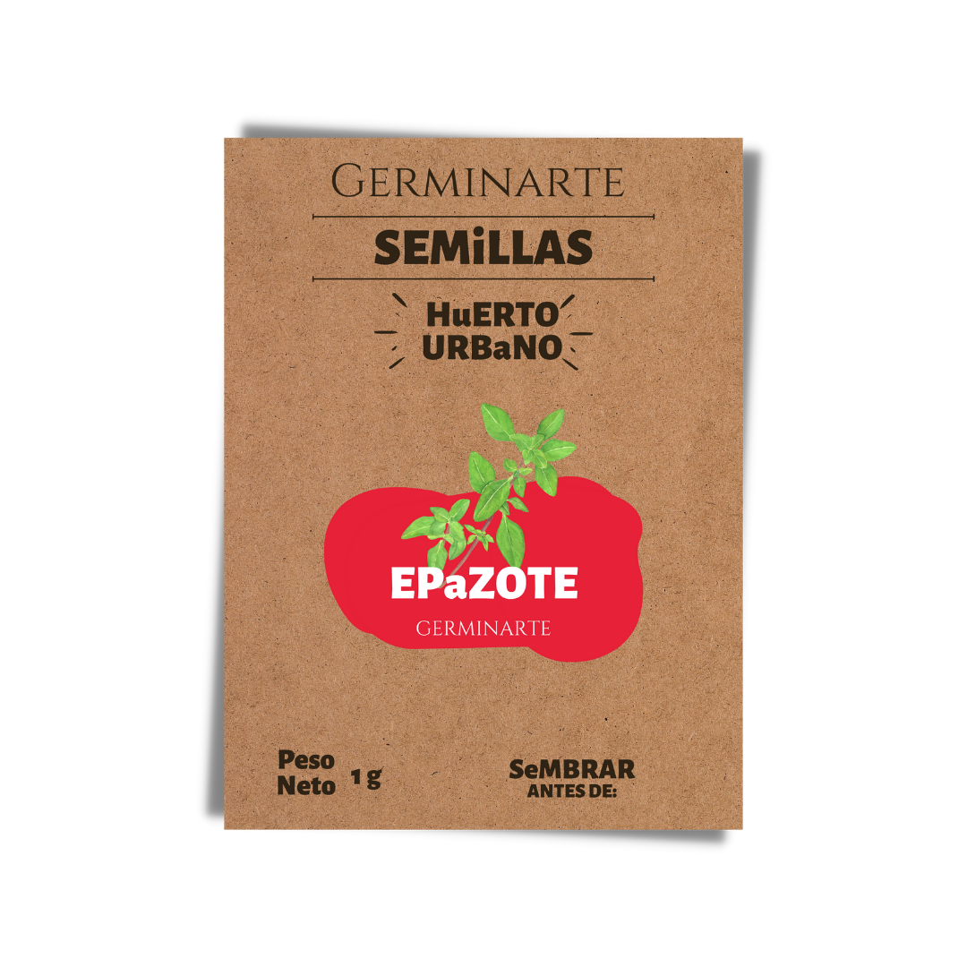 Semilla Epazote