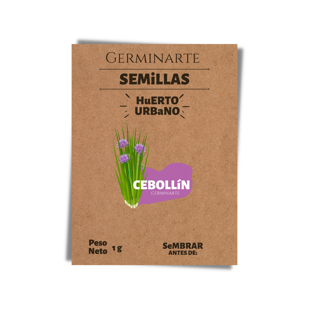 Semilla Cebollín