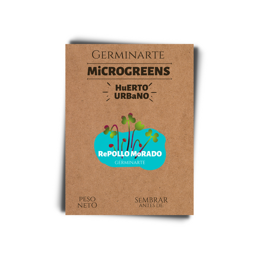 Semilla Microgreen Repollo Morado