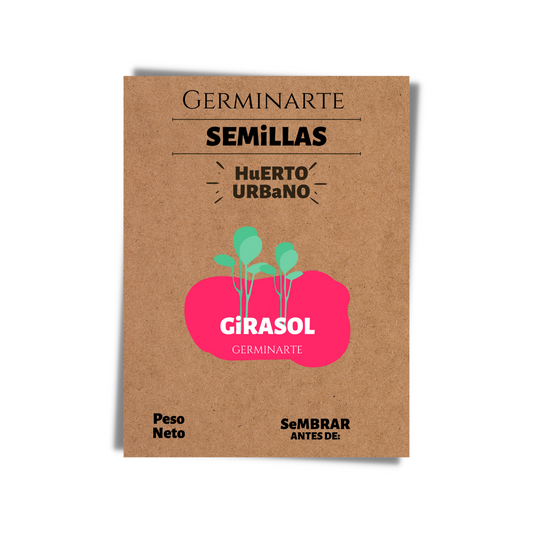 Semilla Microgreen Girasol