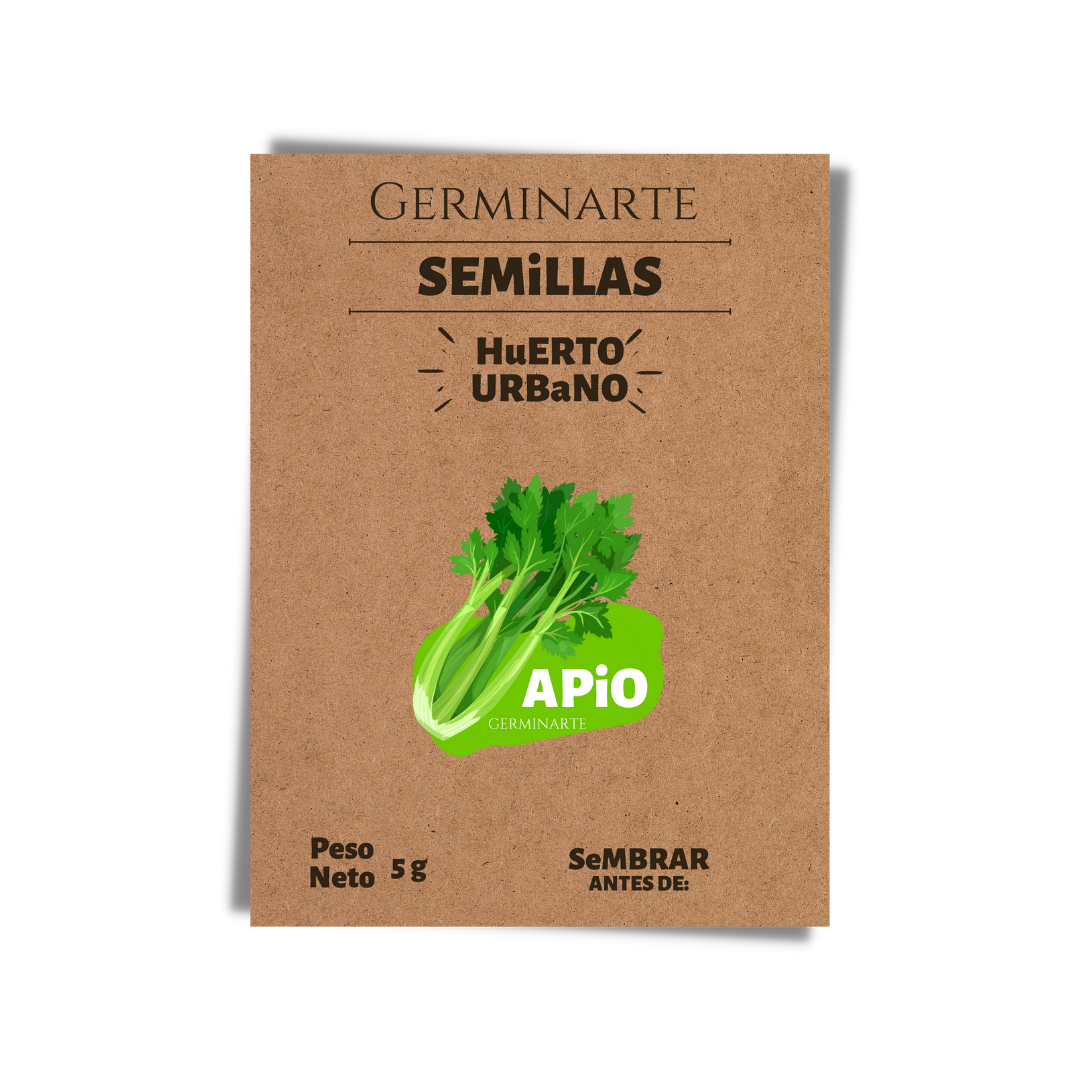 Semilla Apio