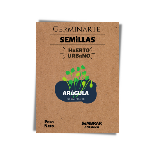 Semilla Microgreen Arúgula