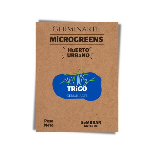 Semilla Microgreen Trigo