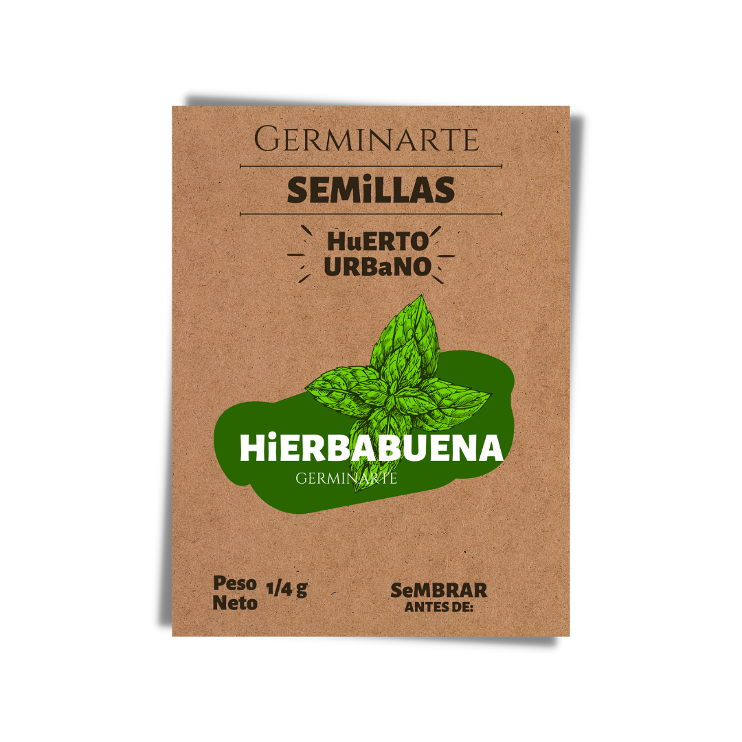 Semilla Hierbabuena