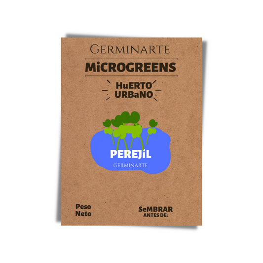 Semilla Microgreen Perejil Chino