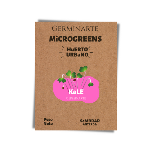Semilla Microgreen Kale