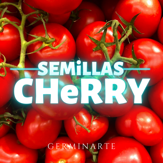 Semilla Tomate cherry