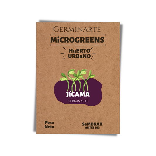 Semilla Microgreen Jícama