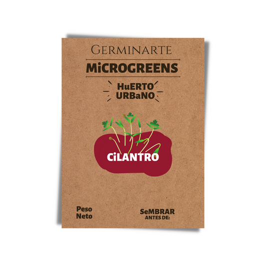 Semilla Microgreen Cilantro