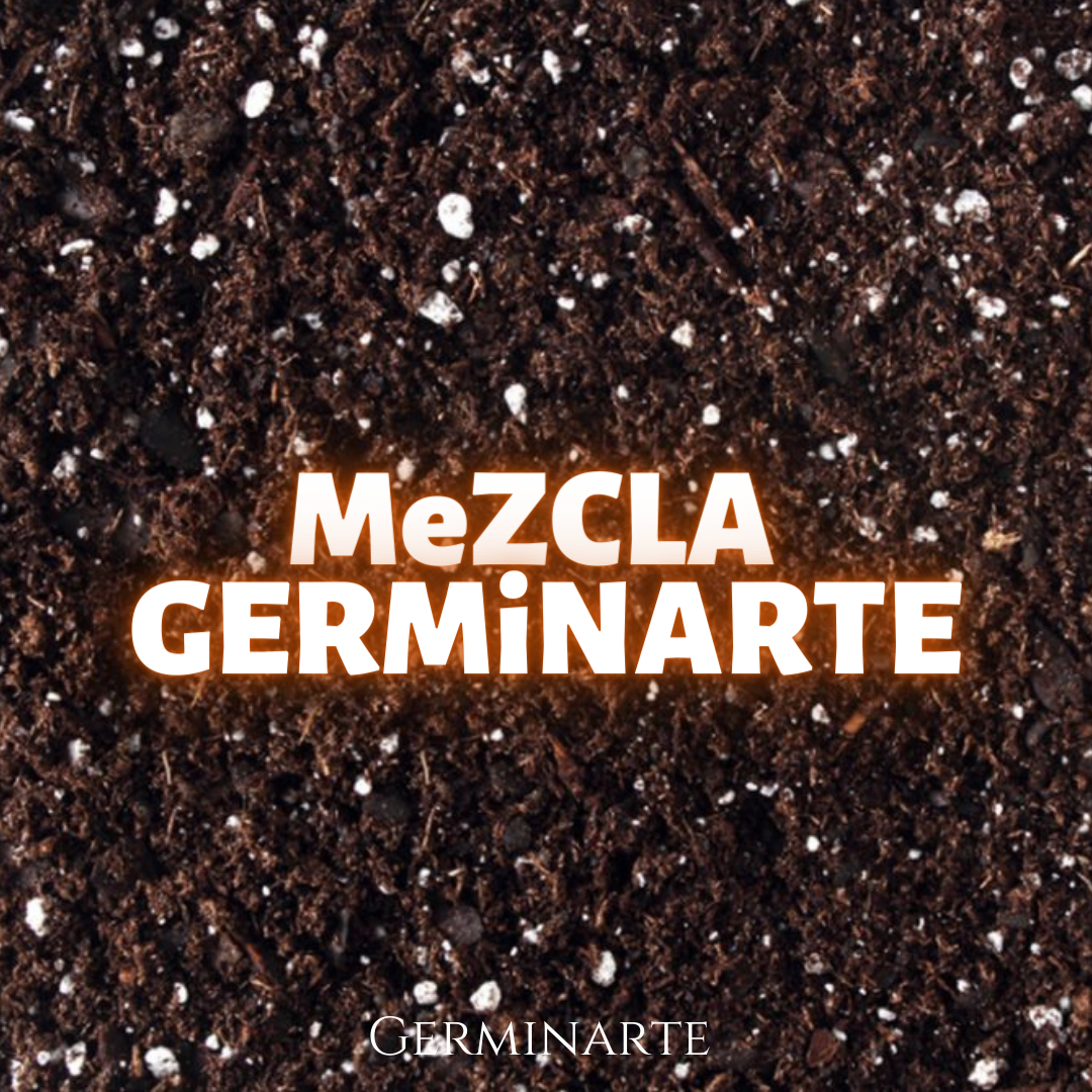 Mezcla Germinarte