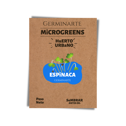 Semilla Microgreen Espinacas